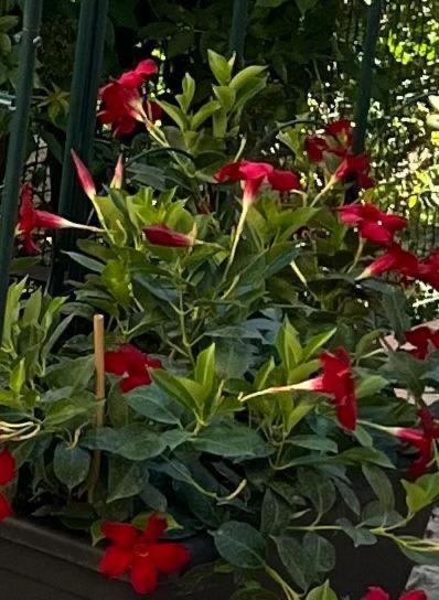 Bed and Breakfast Le Fate Umbria Sellano Exterior foto