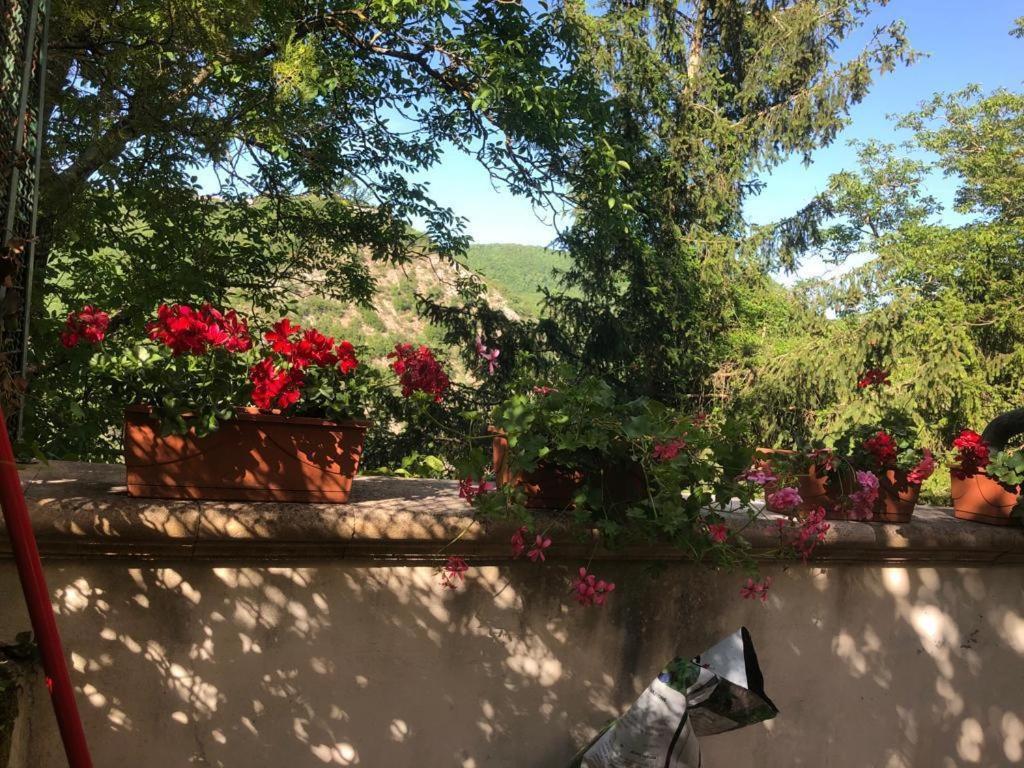 Bed and Breakfast Le Fate Umbria Sellano Exterior foto